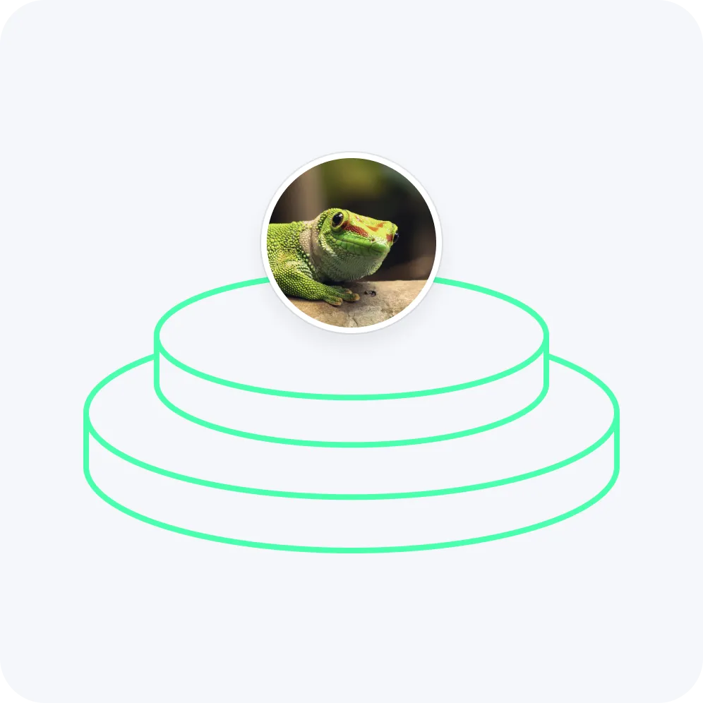 Proxy manager